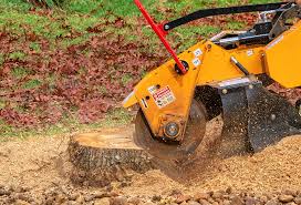 How Our Tree Care Process Works  in  Troy, NY